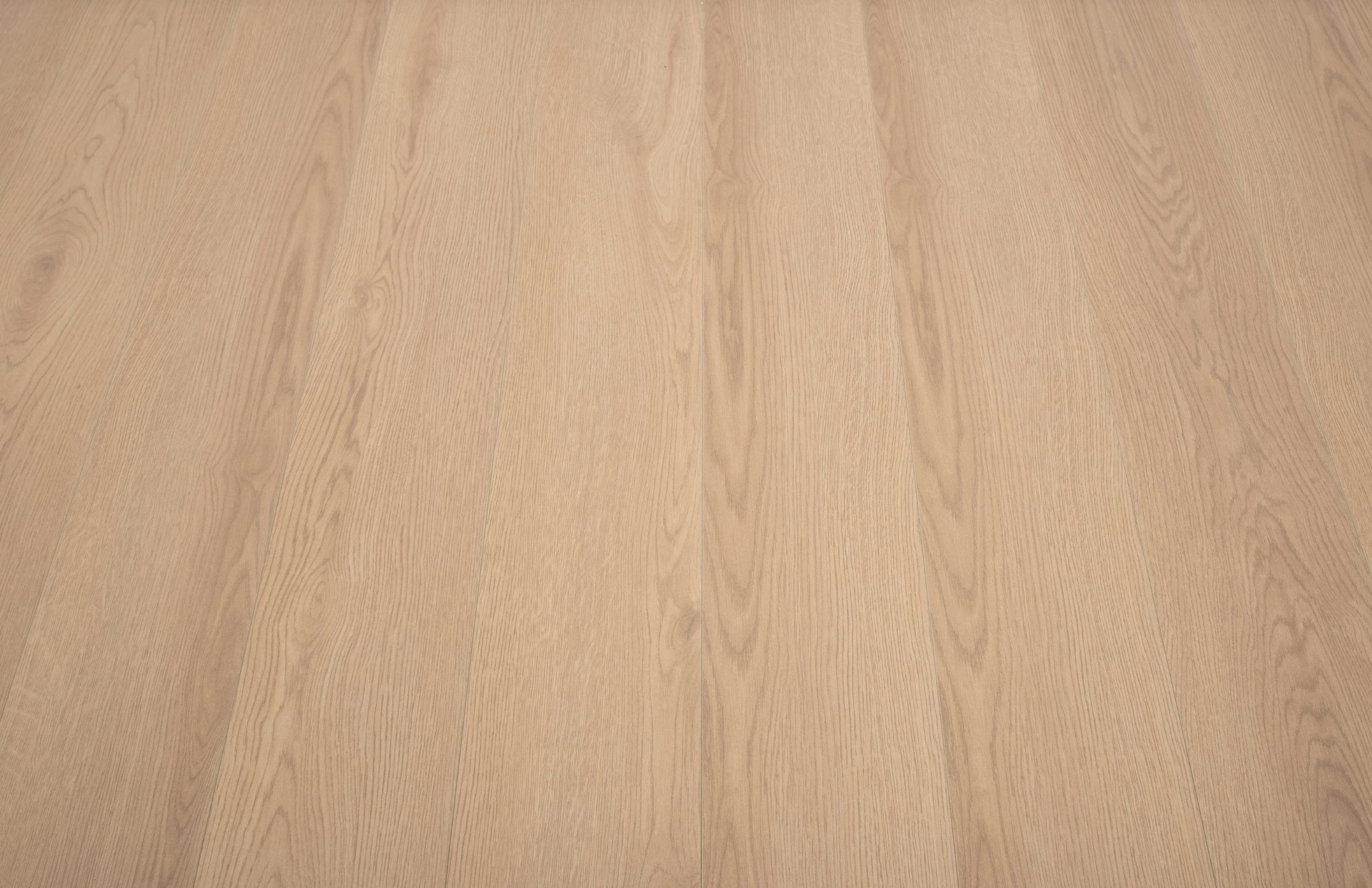 Soft Brown 8mm  Laminate Floor | 1.83m² Pack Coverage