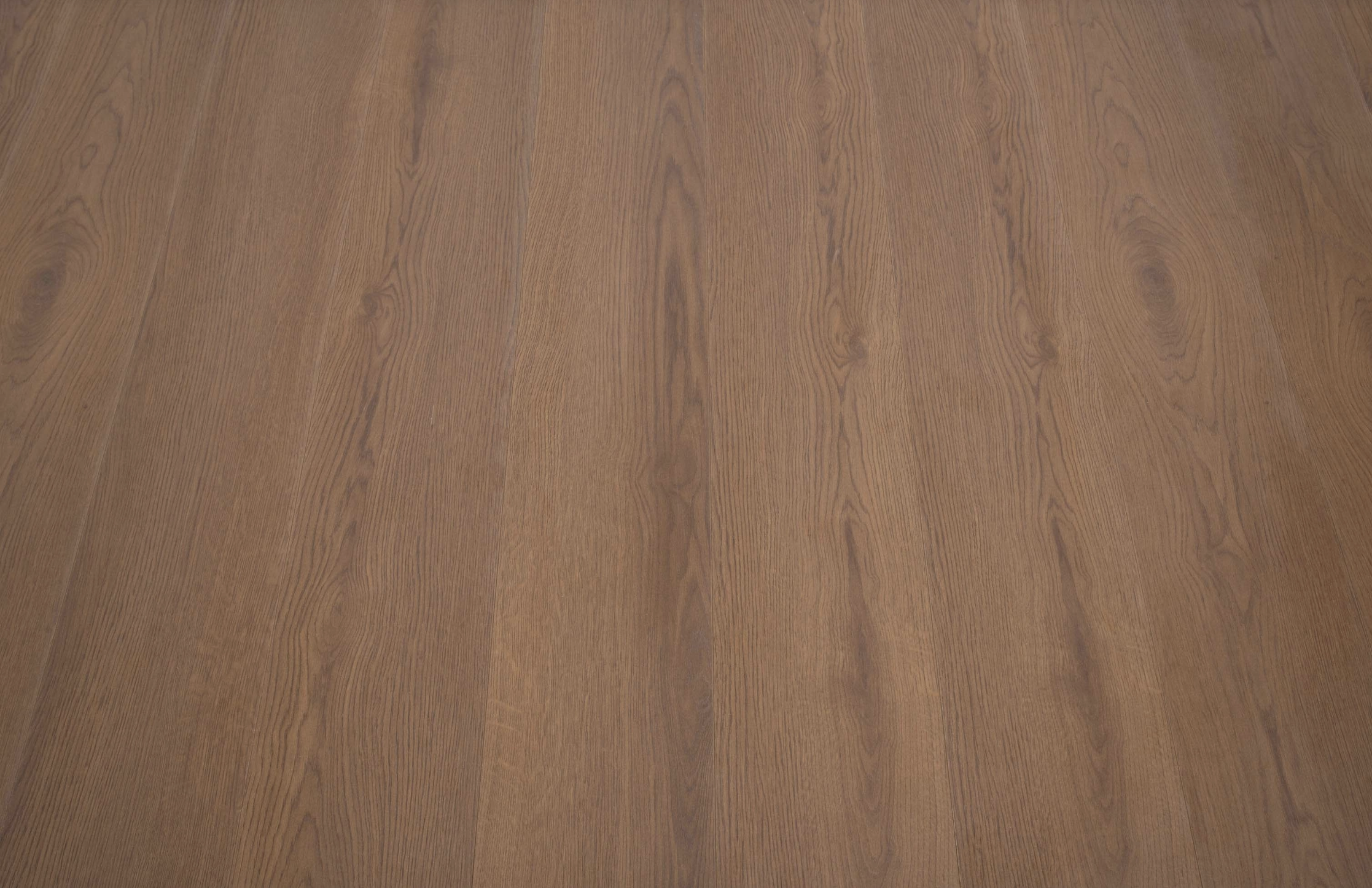 Dark Chocolate Brown 8mm  Laminate Floor | 1.83m² Pack Coverage