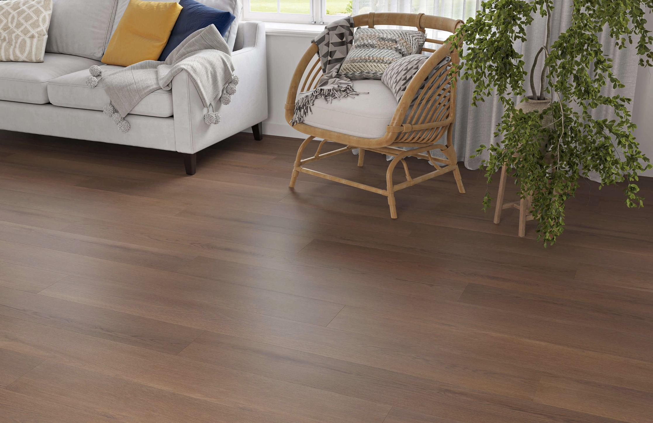 Dark Chocolate Brown 8mm  Laminate Floor | 1.83m² Pack Coverage