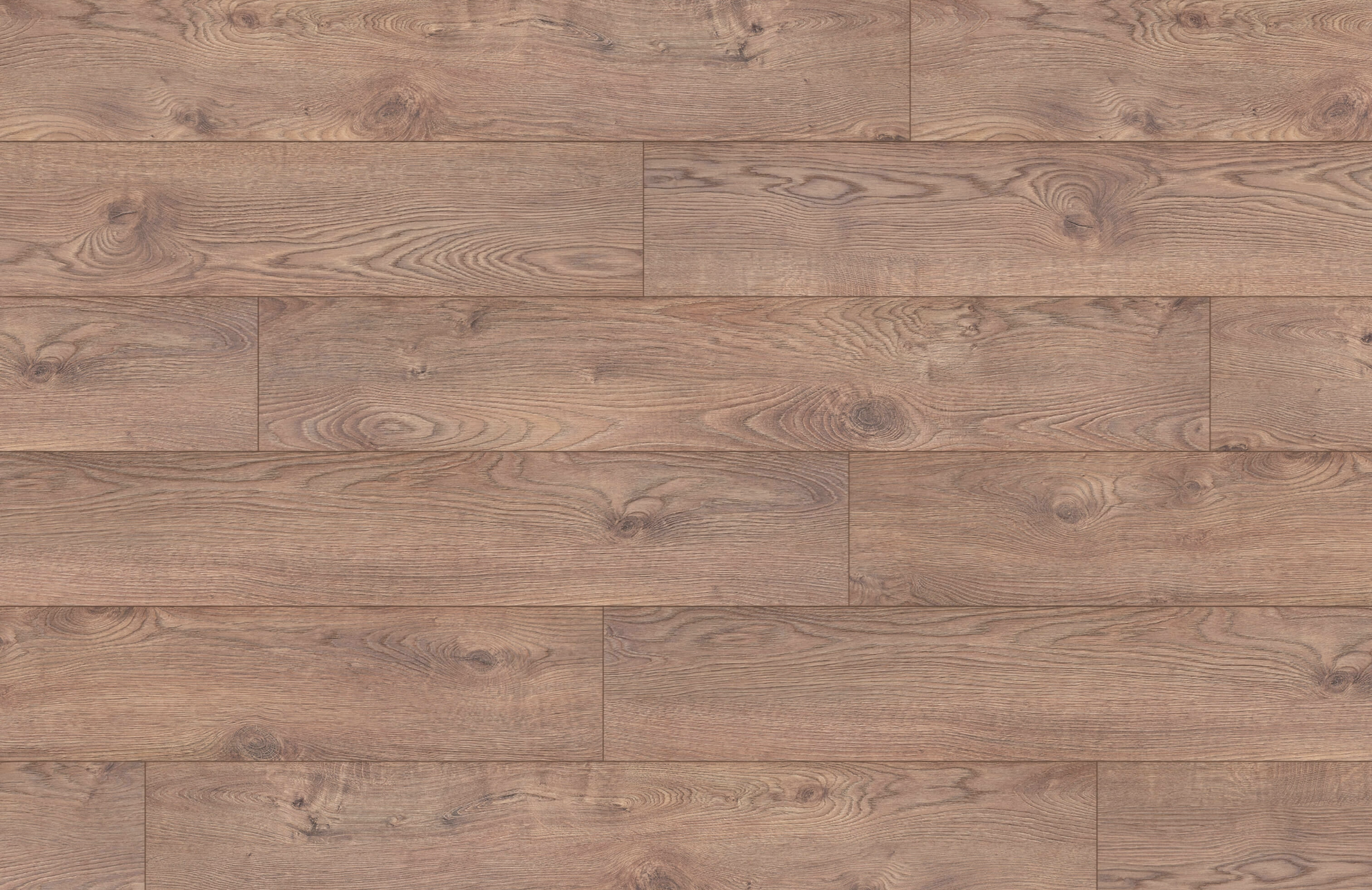 Chestnut Brown Oak 8mm Laminate Floor | 1.83m² Pack Coverage